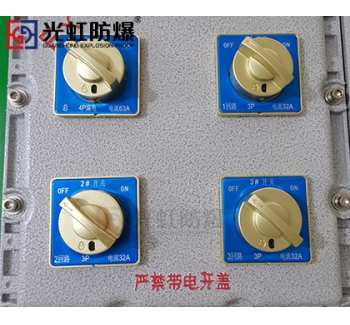 粉塵防爆配電箱 現(xiàn)場(chǎng)防爆動(dòng)力配電箱