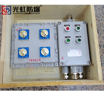 粉塵防爆配電箱 現(xiàn)場(chǎng)防爆動(dòng)力配電箱