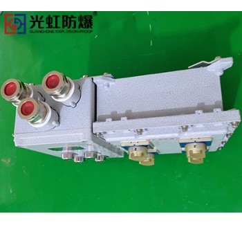 粉塵防爆配電箱 現(xiàn)場(chǎng)防爆動(dòng)力配電箱