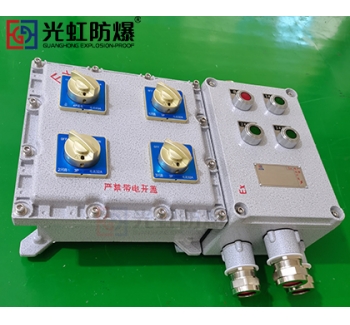 粉塵防爆配電箱 現(xiàn)場(chǎng)防爆動(dòng)力配電箱