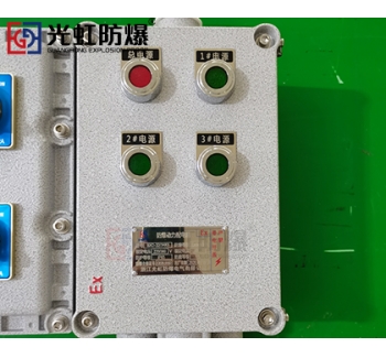 粉塵防爆配電箱 現(xiàn)場(chǎng)防爆動(dòng)力配電箱