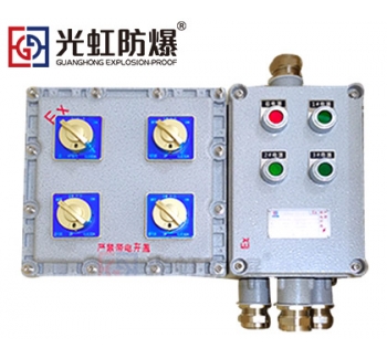 粉塵防爆配電箱 現(xiàn)場(chǎng)防爆動(dòng)力配電箱